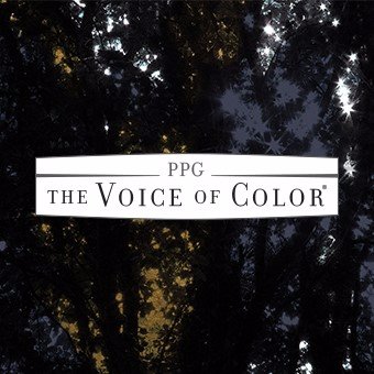 PPG Voice of Color