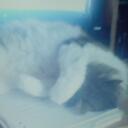 corina edwards - @candredwards - Twitter