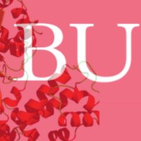 BU Pharmacology💊 (@pharmbu) 's Twitter Profile