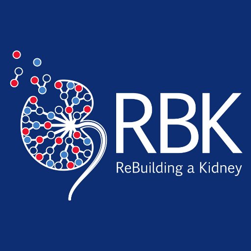 (Re)Building a Kidney is an @NIDDK consortium to optimize isolation, expansion & differentiation of  kidney cells for engineering replacement kidneys.