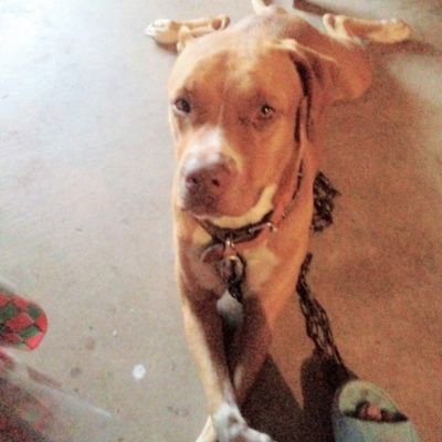 arciadalila01's profile picture. 