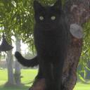 Stevie Maxwell - @steviemax - Twitter