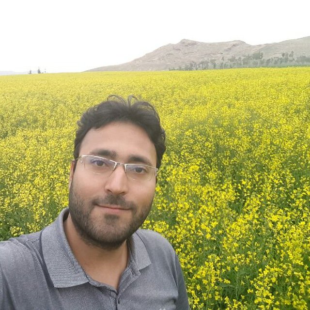 mehdipedramkhoo's profile picture. Mehdi Pedramkhoo