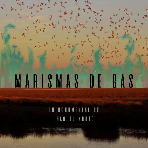Documental dirigido por Raquel Souto y producido por Tecnozetta Prod. que pretende profundizar en los riesgos del proyecto de Gas Natural Fenosa en Doñana
