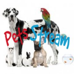 PetsStream cares about everything pets! View our website! https://t.co/YWeMDVipjh.