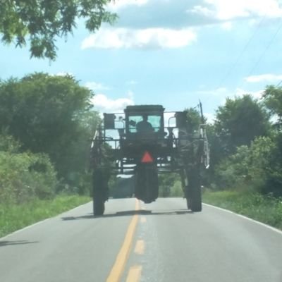 FreedomTNPr's profile picture. 