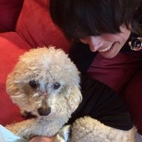 JP Prims (@jyprims) 's Twitter Profile