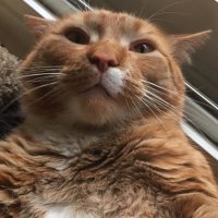 Trevor Smith (@mrtsmith81) 's Twitter Profile