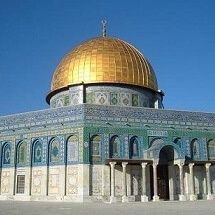 Arwa19871's profile picture. ‏أحلم بمستقبل أفضل لي و لأهلي و لأمتي الإسلامية في مجتمعات خالية من 
الظلم و الفساد و القمع