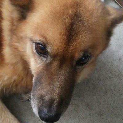 masakikondo3's profile picture. 競馬が好きなアホな男です。
スポーツはだいたい好きです。
野球、サッカー、ゴルフ、テニスetc