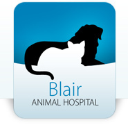 Blair Animal Hospital is a 6 veterinarian small animal clinic on the East side of Ottawa, Ontario.