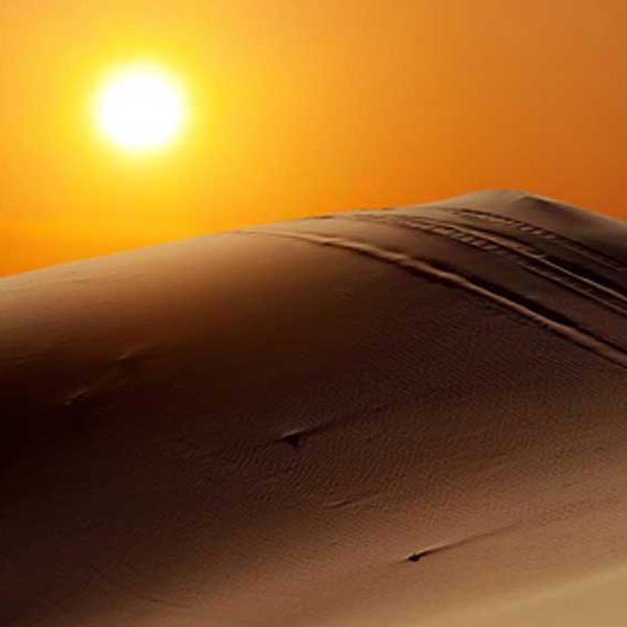 MDT is small company that runs private tours for couple,family,and groups.We can pick you up everywhere in Morocco .
https://t.co/N6qIC7t8bt