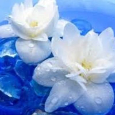 GabyMuzquiz1's profile picture. Gifted and Talented Specialist💛