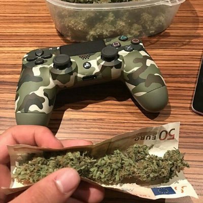 gaddartorbaci's profile picture. Bu hesap tamamen hayal ürünüdür ve dümendir.