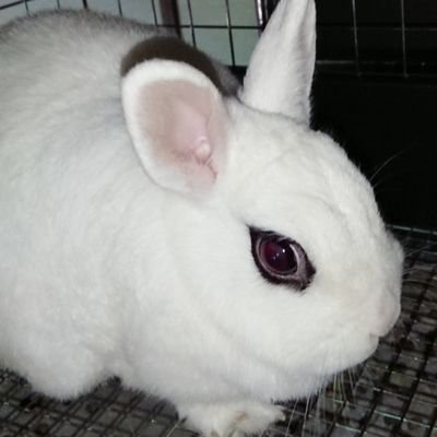 rabbirat_masa's profile picture. 