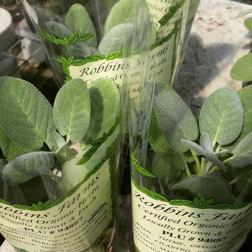 Robbins_Farms's profile picture. We are a local family farm located in beautiful Southwest, VA. Our farm is USDA certified organic and family operated.