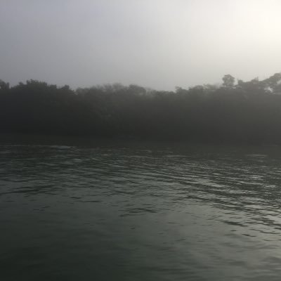 Storable124's profile picture. https://t.co/HHIyBivHH0