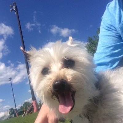 jenniferlmac01's profile picture. 