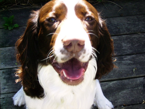 janet_mccallum's profile picture. 