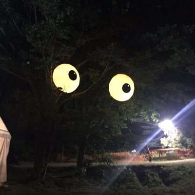 fjhtr2017's profile picture. 2016,2017,2018,2019三日間ぼっちフジロック楽しかった。39years old