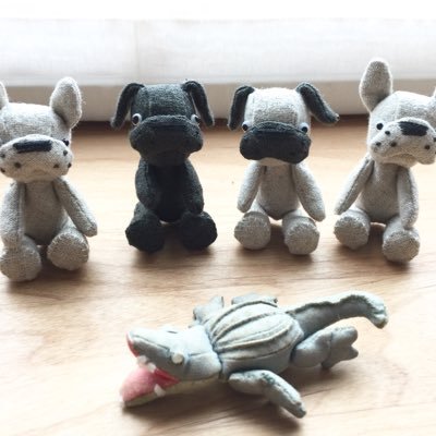 zoozoominのプロフィール写真