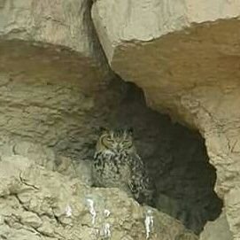 LOuacha's profile picture. 