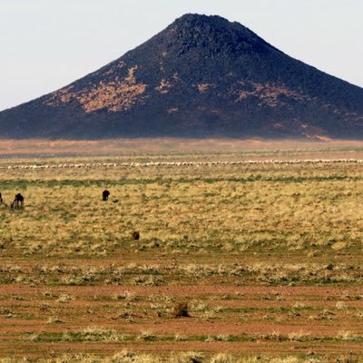 _alrshaden's profile picture. تم انشاء صحيفة الرشادين لخدمة ابناء القبيلة وما يخصهم