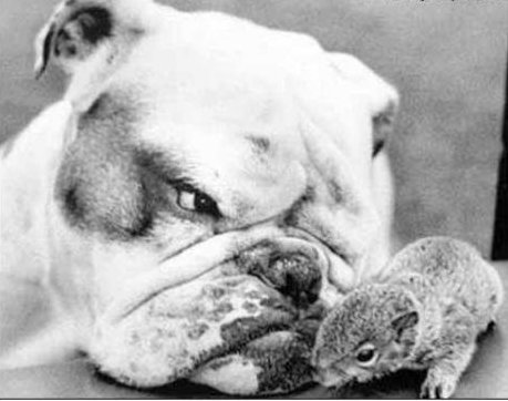 delpede's profile picture. 