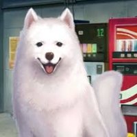 いっぬ (@samoyedken) Twitter profile photo