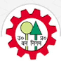 UPFOREST CORPORATION Profile