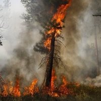 TateR (@erubioiii) 's Twitter Profile Photo