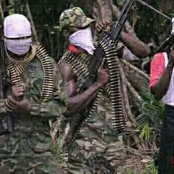 simplezuby's profile picture. 