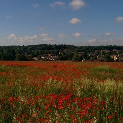 The home of the Longfield Jazz & regular Festival
https://t.co/8sVRfEKDBh
#StayHomeSaveLives