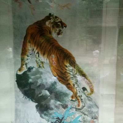 jQrVCokgHUmHbeF's profile picture. I love this world! To live and to learn!