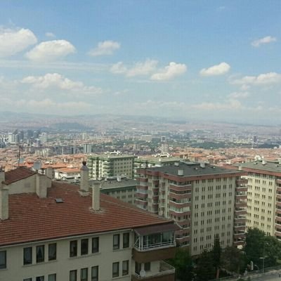 timrobbins77's profile picture. 