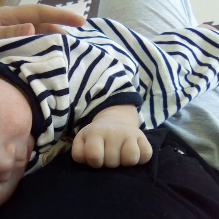 StmCgm's profile picture. 家庭菜園に目覚め中。赤安好き。子持ちヲタ。