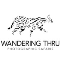 WanderingThru(@wandering_thru) 's Twitter Profile Photo