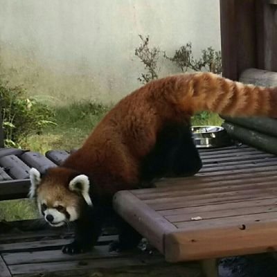 musjgjkd40's profile picture. いいね👍️押しがちです😆⚾ロッテ19、63🗾ハム1、64、CD🧢🐨🎶松本隆 氏、松田聖子、ユーミン🎸Suchmos 📺️米倉涼子🍈💉浅野ゆう子、賀来千香子📖松本清張、林真理子🐿️動物✈️アジア一泊三日一人旅休止中🍶🍺断捨離、終活😇R2未破裂右椎骨動脈瘤治療🧠再雇用🐲😁