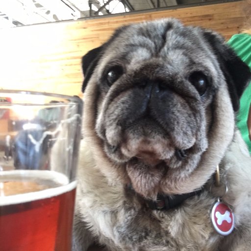 cahabones's profile picture. CahaBones bakes Alabama ingredient dog treats. Spent grain & grain free varieties! We want to tell you our story - we're not just about dog treats!