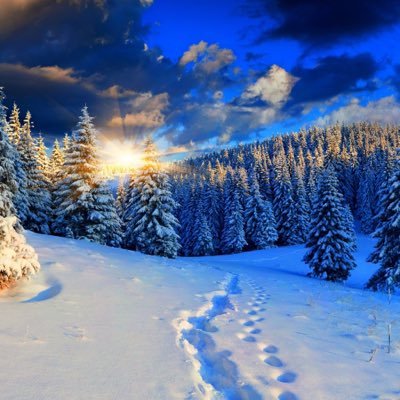 jiusifushang's profile picture. 豊田西高校→広島大学→名古屋→千葉