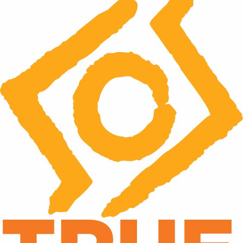 True_Costs Profile Picture