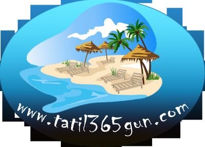 tatil365gun Profile Picture