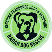 radar dog rescue (@radardogrescue) 's Twitter Profile