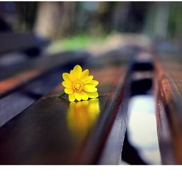 kVyyyyyyyyy's profile picture. 