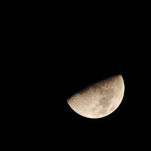 ventingsaudade's profile picture. 