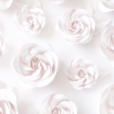 Fallowing_Page's profile picture. this account for people who need other to fallow them and shout