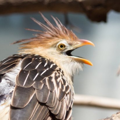 Erik_A_Hanson's profile picture. Present, progressive, imperfect. Weird & enthusiastic. Contains multitudes as a minor action. RT=sharing. He or they.