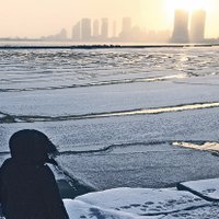 The Cubadors (@cubadors) 's Twitter Profile Photo