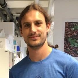 Post-Doc in the @honigmann_lab at the @biotec_tud, @tudresden_de, Interested in epithelia and lumen formation; 
Alumnus of @mpicbg and @boulantlab