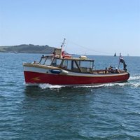 Boat Trips Falmouth(@boat1960trips) 's Twitter Profile Photo